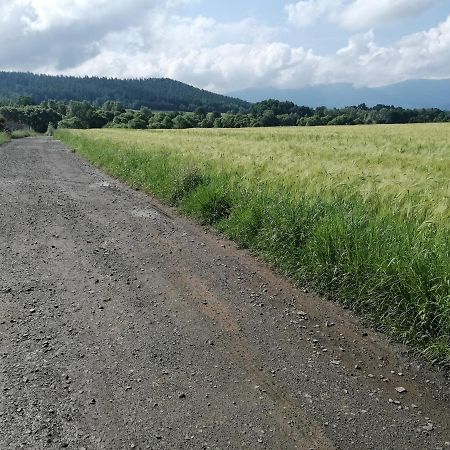 Domki Sowi Kamien Lomnica  Exterior foto