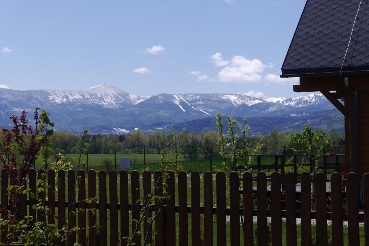 Domki Sowi Kamien Lomnica  Exterior foto