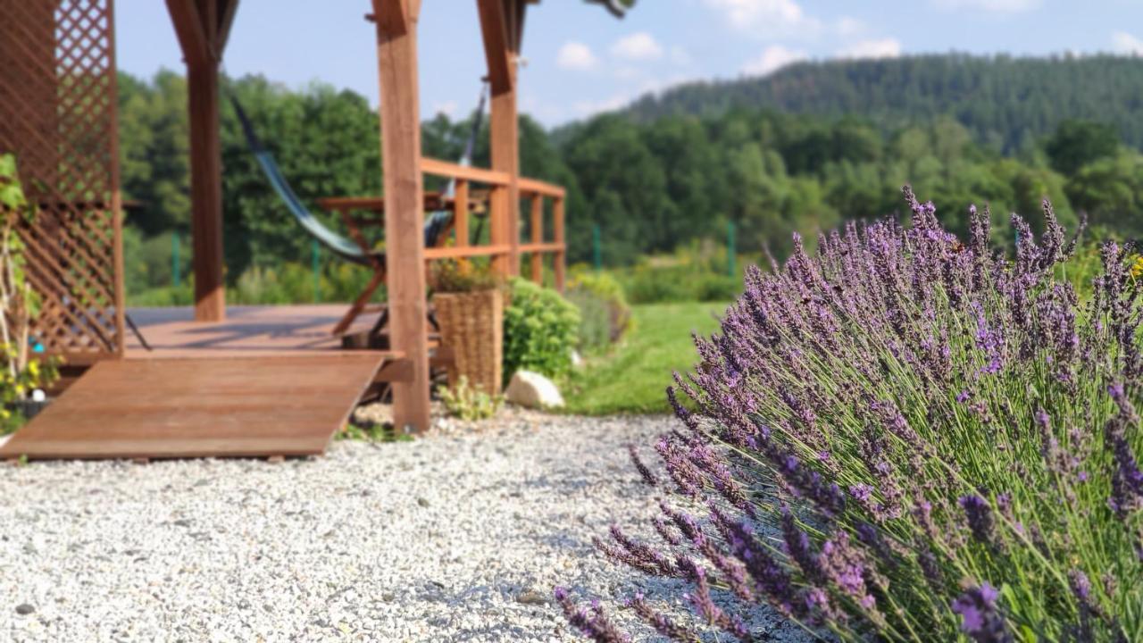 Domki Sowi Kamien Lomnica  Exterior foto