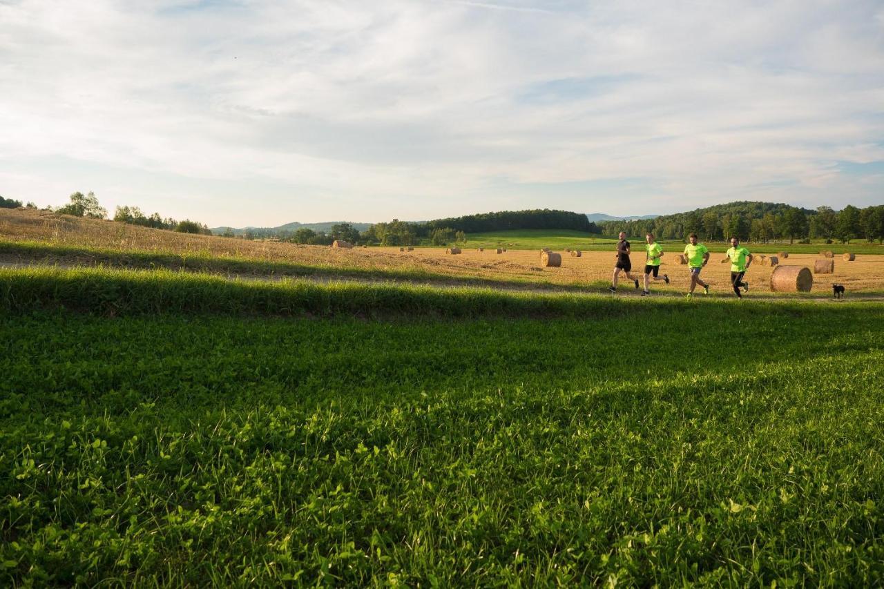 Domki Sowi Kamien Lomnica  Exterior foto