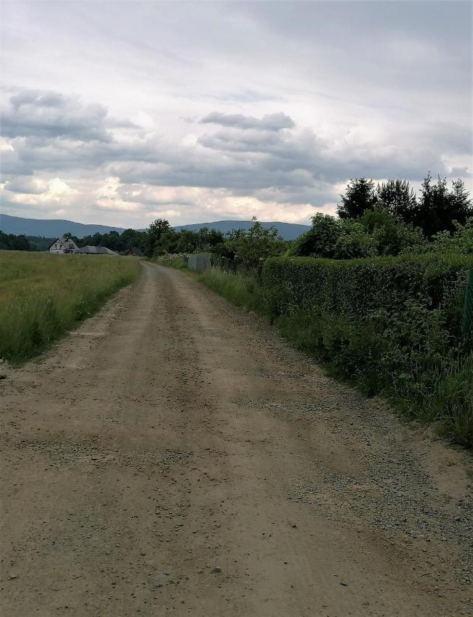 Domki Sowi Kamien Lomnica  Exterior foto