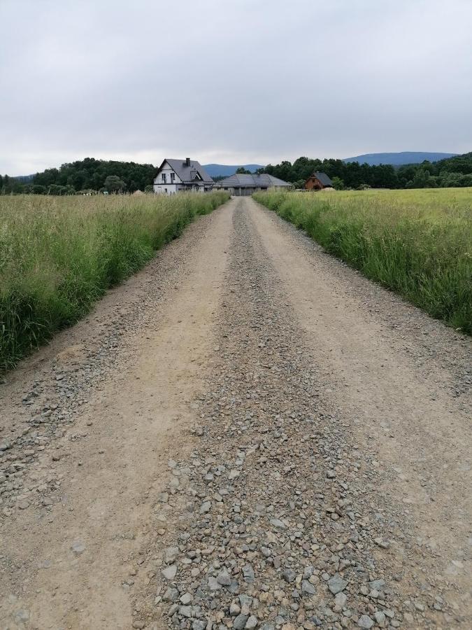 Domki Sowi Kamien Lomnica  Exterior foto